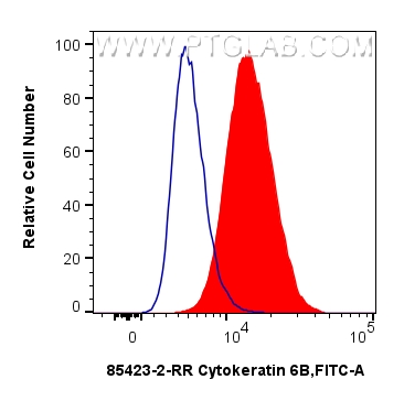 FC experiment of A431 using 85423-2-RR