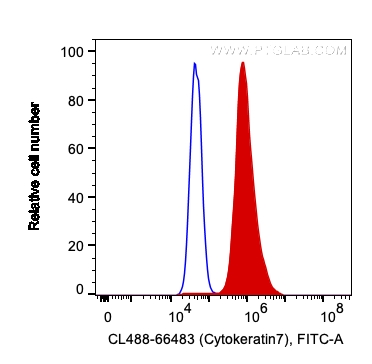 Cytokeratin 7