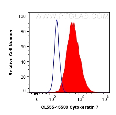 FC experiment of HeLa using CL555-15539