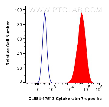 1x10^6 HeLa cells were intracellularly stained with 0.4 ug CoraLite®594-conjugated Cytokeratin 7-specific Polyclonal antibody (CL594-17513)(red), or 0.4 ug Isotype Control (blue). Cells were fixed and permeabilized with Intracellular Flow Cytometry Fixation & Permeabilization Buffer Kit (<a class='green' href='/productredirect?CatalogNo=PF00019' target='_blank'>PF00019</a>). FC experiment of HeLa using CL594-17513