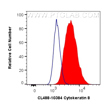 Cytokeratin 8