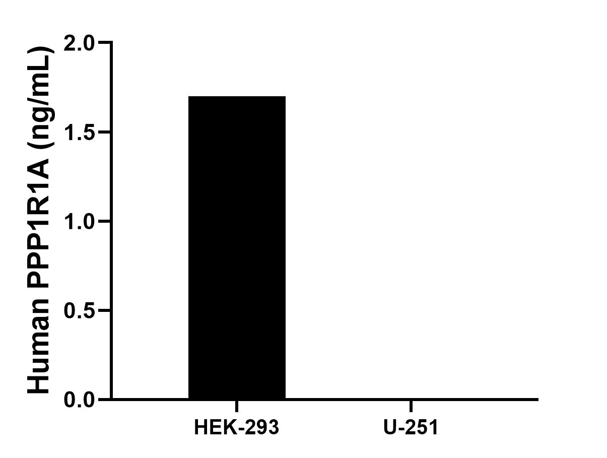 Cytometric bead array sample test of MP00197-2