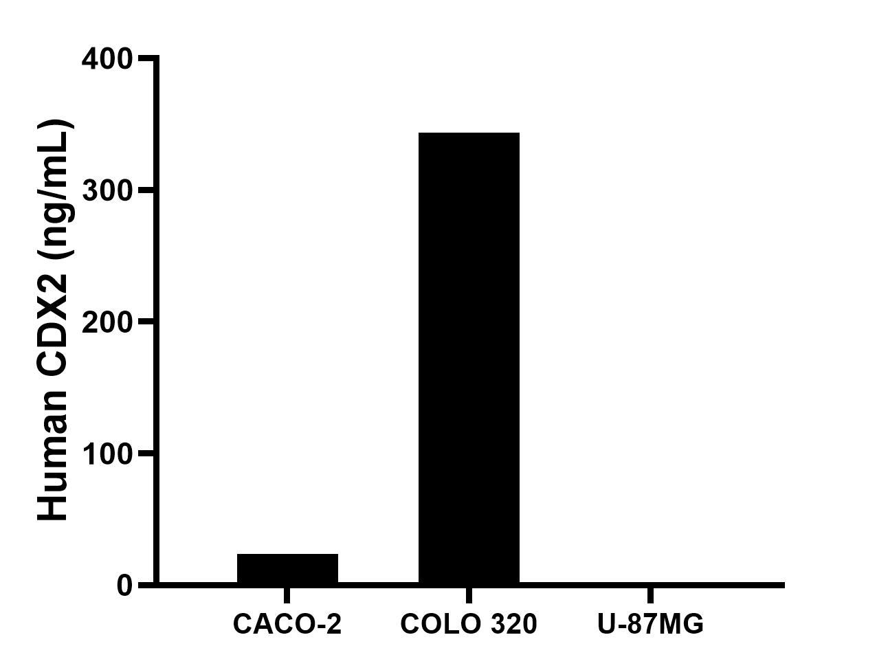 The mean CDX2 concentration was determined to be 23.7 ng/mL in CACO-2 cell extract based on a 1.2 mg/mL extract load, 343.3 ng/mL in COLO 320 cell extract based on a 1.2 mg/mL extract load, U-87MG cell extract were served as a negative control. The mean CDX2 concentration was determined to be 23.7 ng/mL in CACO-2 cell extract based on a 1.2 mg/mL extract load, 343.3 ng/mL in COLO 320 cell extract based on a 1.2 mg/mL extract load, U-87MG cell extract were served as a negative control.