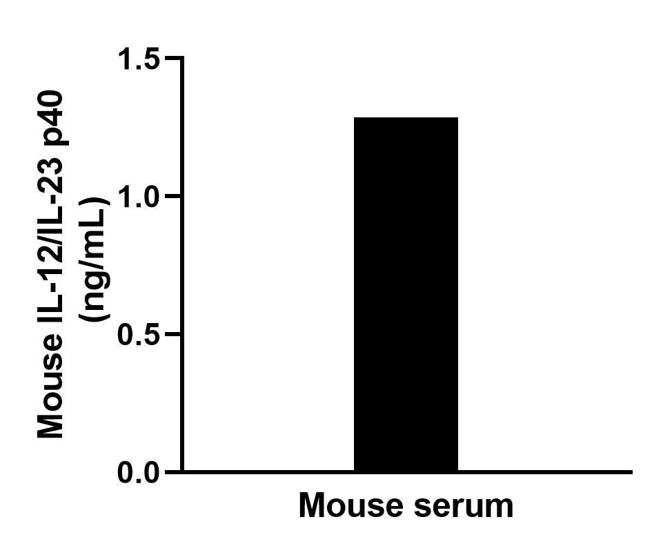 The mean IL-12/IL-23 p40 concentration was determined to be 1.3 ng/mL in Mouse serum. The mean IL-12/IL-23 p40 concentration was determined to be 1.3 ng/mL in Mouse serum.