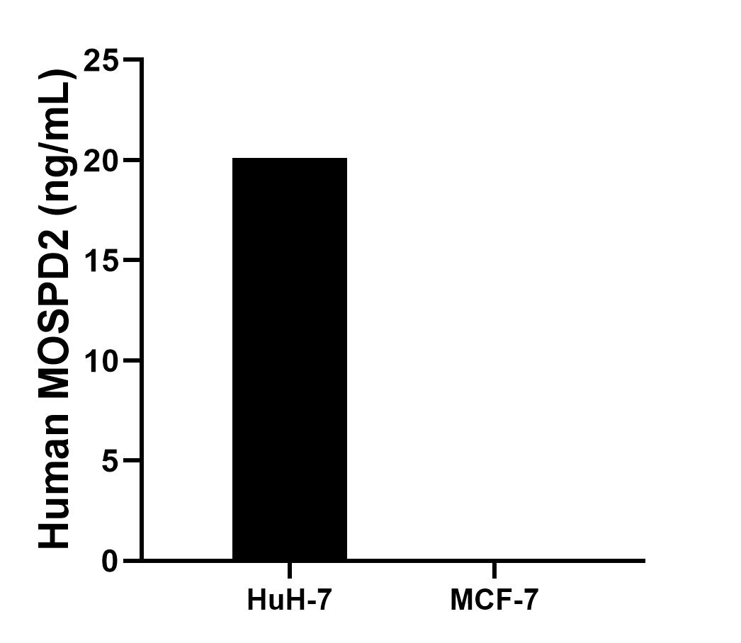 Cytometric bead array sample test of MP00419-1