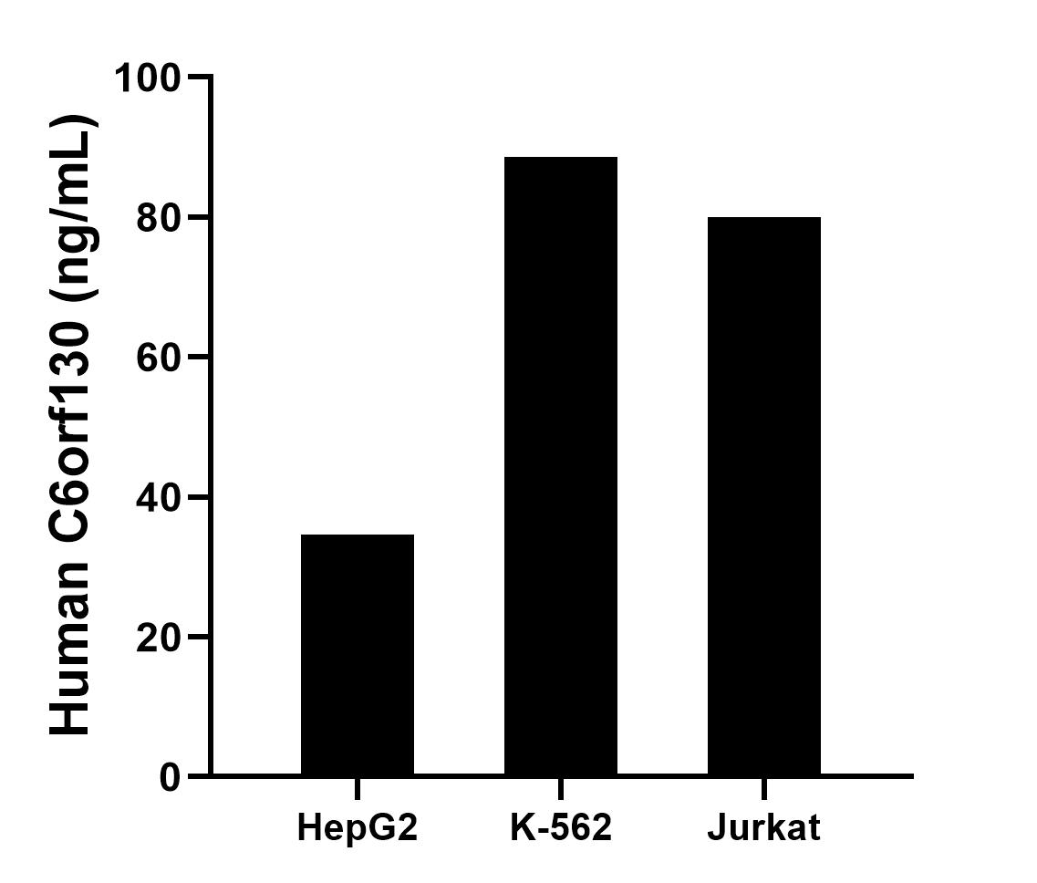 The mean C6orf130 concentration was determined to be 34.7 ng/mL in HepG2 cell extract based on a 1.2 mg/mL extract load, 88.6 ng/mL in K-562 cell extract based on a 1.2 mg/mL extract load, 80.0 ng/mL in Jurkat cell extract based on a 1.2 mg/mL extract load. Cytometric bead array sample test of MP00483-1