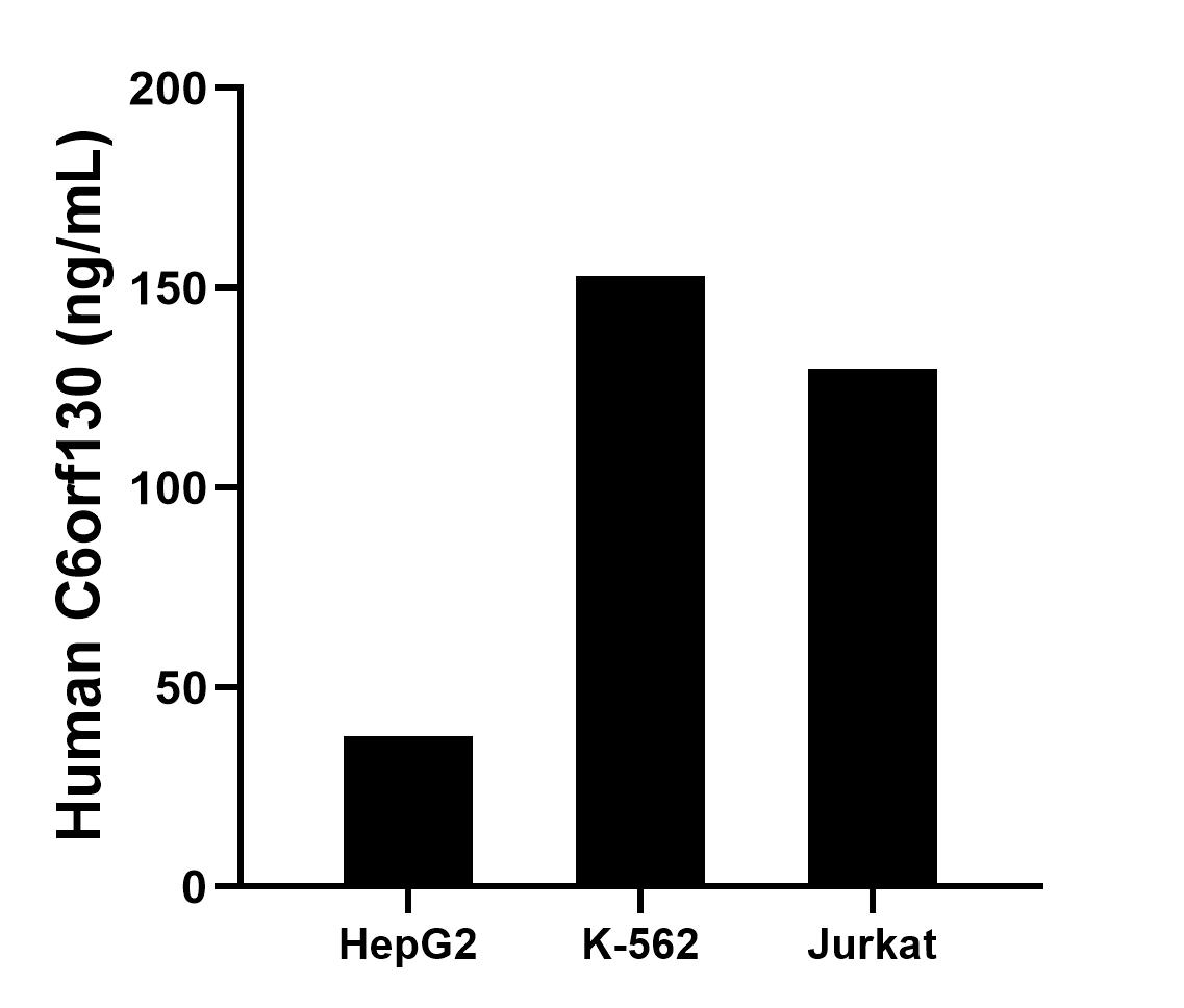 The mean C6orf130 concentration was determined to be 37.9 ng/mL in HepG2 cell extract based on a 1.2 mg/mL extract load, 153.0 ng/mL in K-562 cell extract based on a 1.2 mg/mL extract load, 129.9 ng/mL in Jurkat cell extract based on a 1.2 mg/mL extract load. Cytometric bead array sample test of MP00483-2