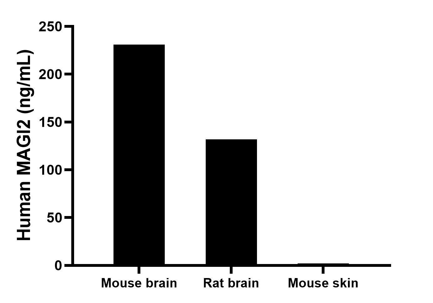 The mean MAGI2 concentration was determined to be 230.8 ng/mL in mouse brain tissue extract based on a 6.3 mg/mL extract load, 131.7 ng/mL in rat brain tissue extract based on a 8.2 mg/mL extract load, mouse skin tissue extract were served as a negative control. The mean MAGI2 concentration was determined to be 230.8 ng/mL in mouse brain tissue extract based on a 6.3 mg/mL extract load, 131.7 ng/mL in rat brain tissue extract based on a 8.2 mg/mL extract load, mouse skin tissue extract were served as a negative control.