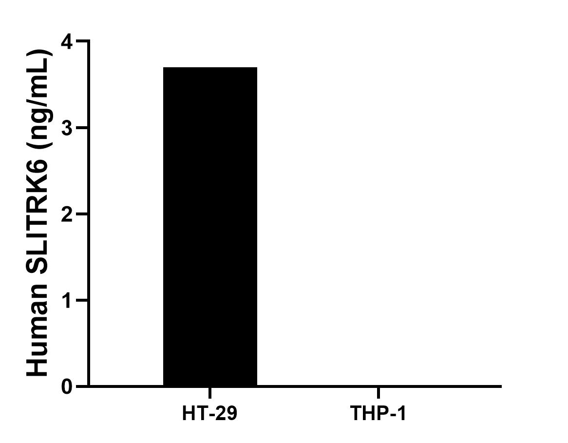 The mean SLITRK6 concentration was determined to be 3.7 ng/mL in HT-29 cell extract based on a 1.2 mg/mL extract load,  THP-1 cell extract were served as a negative control.
