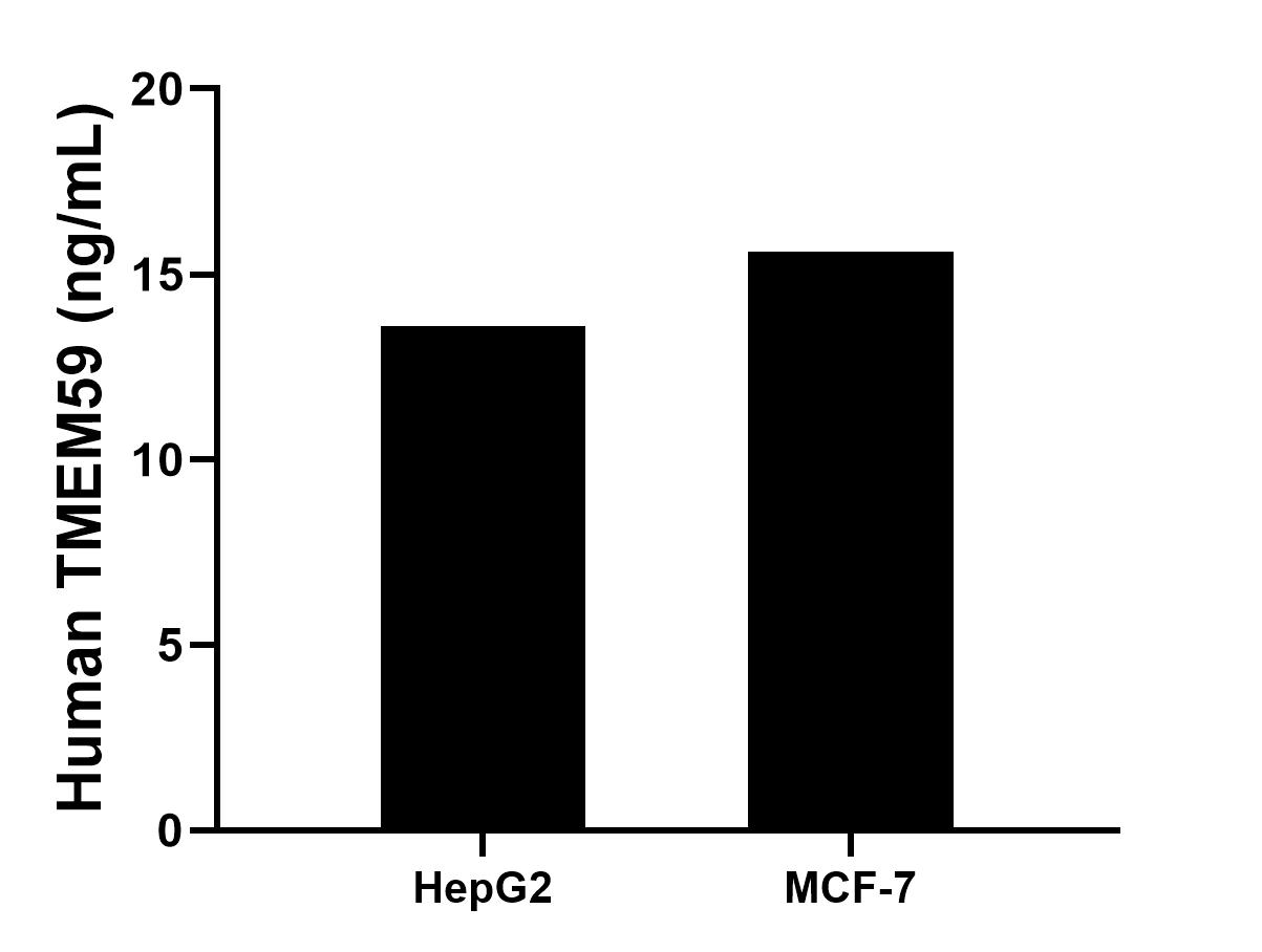 Cytometric bead array sample test of MP00641-1