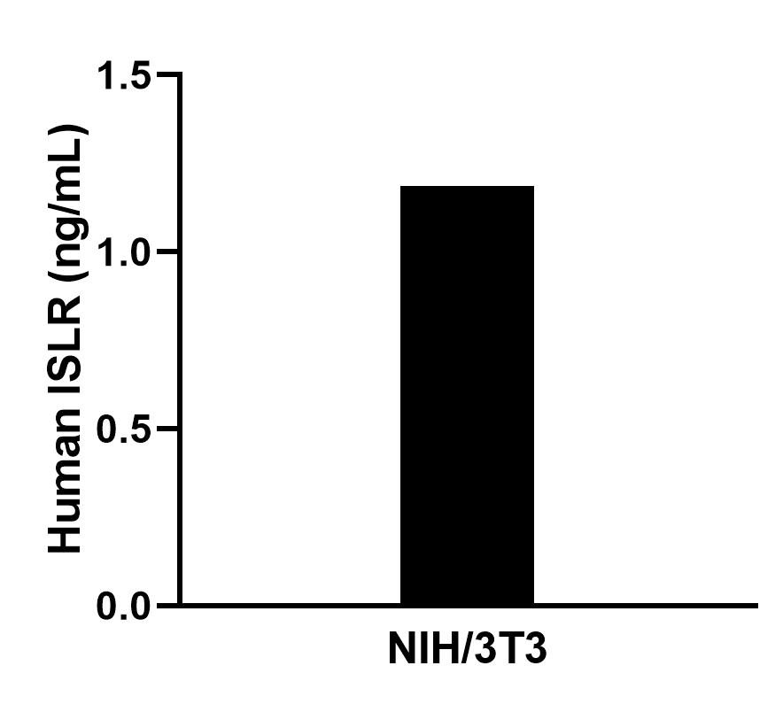 The mean ISLR concentration was determined to be 1.2 ng/mL in NIH/3T3 cell extract based on a 1.2 mg/mL extract load. Cytometric bead array sample test of MP00747-2