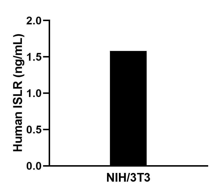 The mean ISLR concentration was determined to be 1.6 ng/mL in NIH/3T3 cell extract based on a 1.2 mg/mL extract load. Cytometric bead array sample test of MP00747-3