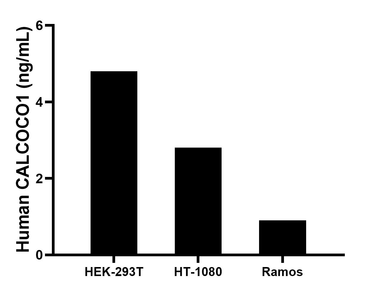 The mean CALCOCO1 concentration was determined to be 4.8 ng/mL in HEK-293T cell extract based on a 1.2 mg/mL extract load, 2.8 ng/mL in HT-1080 cell extract based on a 1.2 mg/mL extract load, 0.9 ng/mL in Ramos cell extract based on a 1.5 mg/mL extract load. Cytometric bead array sample test of MP00945-1