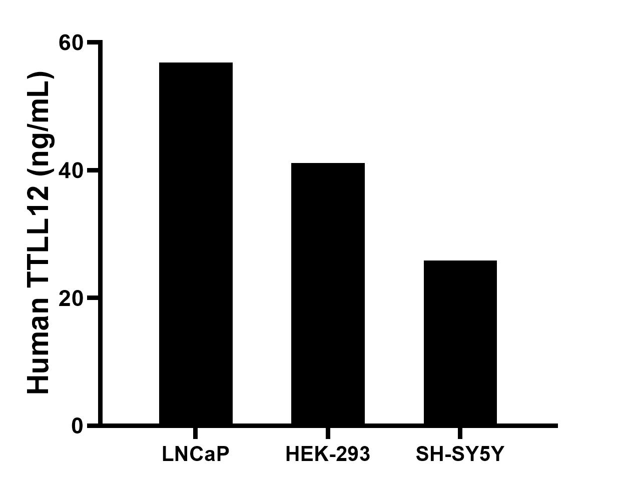 The mean TTLL12 concentration was determined to be 56.8 ng/mL in LNCaP cell extract based on a 1.5 mg/mL extract load, 41.1 ng/mL in HEK-293 cell extract based on a 1.2 mg/mL extract load, 25.8 ng/mL in SH-SY5Y cell extract based on a 1.5 mg/mL extract load.