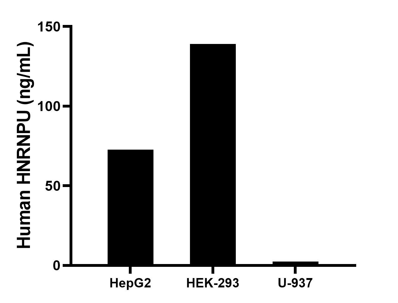 The mean HNRNPU concentration was determined to be 72.2 ng/mL in HepG2 cell extract based on a 1.2 mg/mL extract load, 139.0 ng/mL in HEK-293 cell extract based on a 1.2 mg/mL extract load, 2.5 ng/mL in U-937 cell extract based on a 2.6 mg/mL extract load. The mean HNRNPU concentration was determined to be 72.2 ng/mL in HepG2 cell extract based on a 1.2 mg/mL extract load, 139.0 ng/mL in HEK-293 cell extract based on a 1.2 mg/mL extract load, 2.5 ng/mL in U-937 cell extract based on a 2.6 mg/mL extract load.