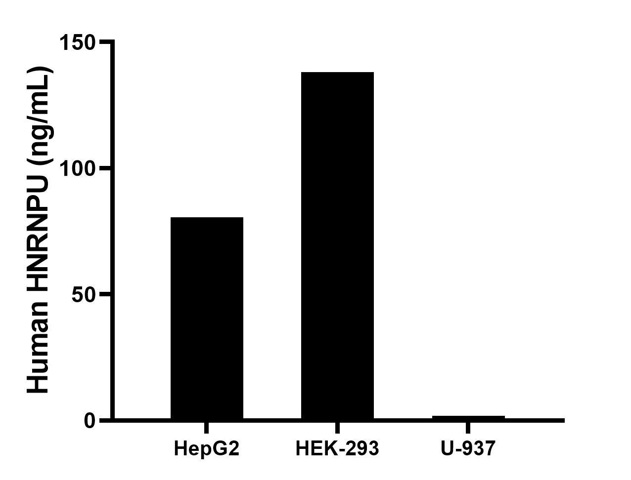 The mean HNRNPU concentration was determined to be 80.6 ng/mL in HepG2 cell extract based on a 1.2 mg/mL extract load, 137.9 ng/mL in HEK-293 cell extract based on a 1.2 mg/mL extract load, 1.9 ng/mL in U-937 cell extract based on a 2.6 mg/mL extract load. The mean HNRNPU concentration was determined to be 80.6 ng/mL in HepG2 cell extract based on a 1.2 mg/mL extract load, 137.9 ng/mL in HEK-293 cell extract based on a 1.2 mg/mL extract load, 1.9 ng/mL in U-937 cell extract based on a 2.6 mg/mL extract load.