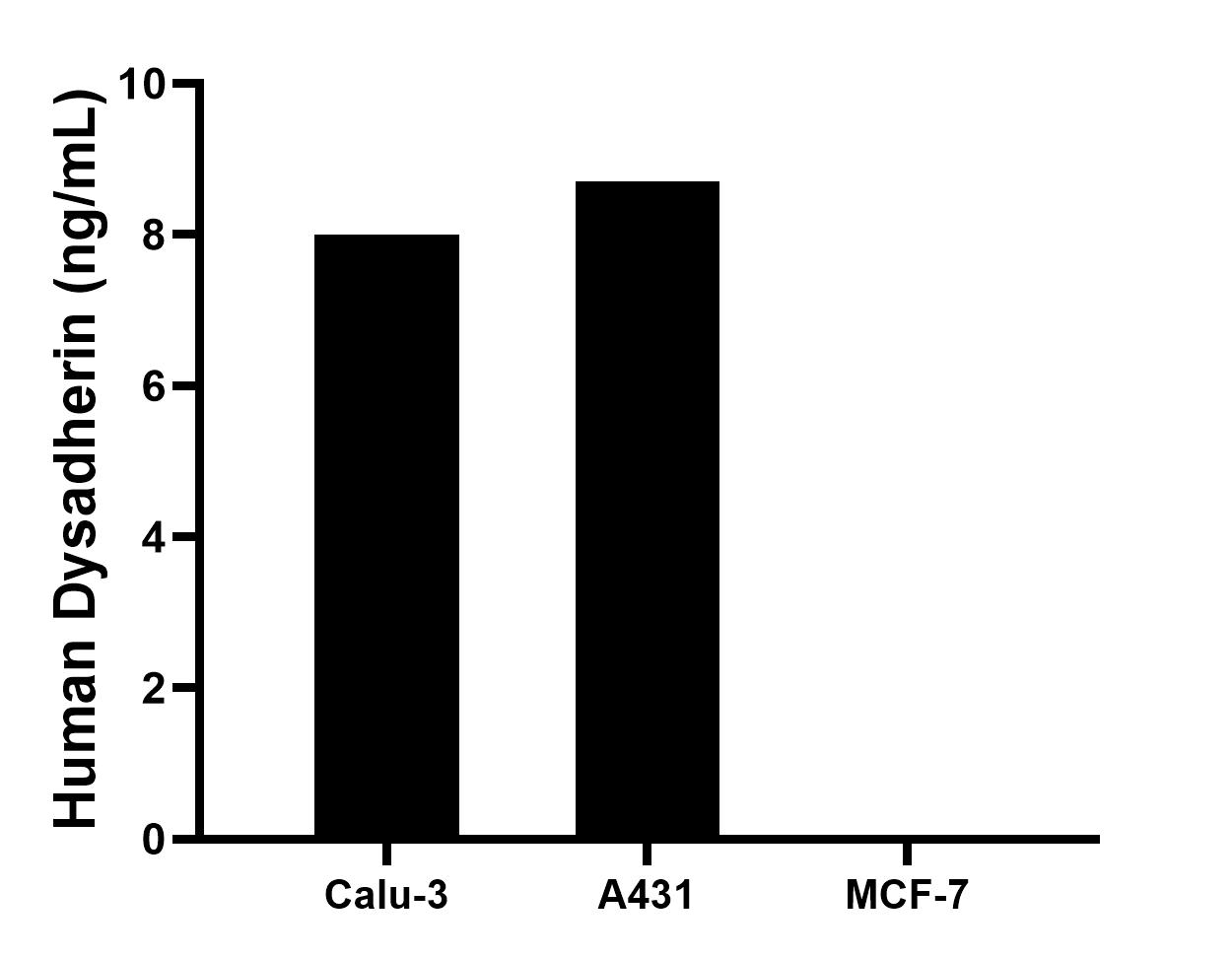 The mean Dysadherin concentration was determined to be 8.0 ng/mL in Calu-3 cell extract based on a 1.2 mg/mL extract load, 8.7 ng/mL in A431 cell extract based on a 1.5 mg/mL extract load, MCF-7 cell extract were served as a negative control.
