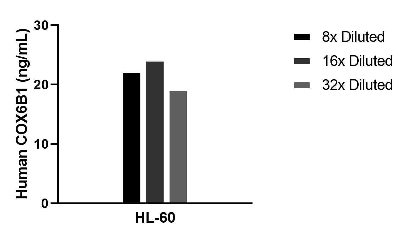 The mean COX6B1 concentration was determined to be 21.9 ng/mL in HL-60 cell extract based on a 1.2 mg/mL extract load. Cytometric bead array sample test of MP02670-1