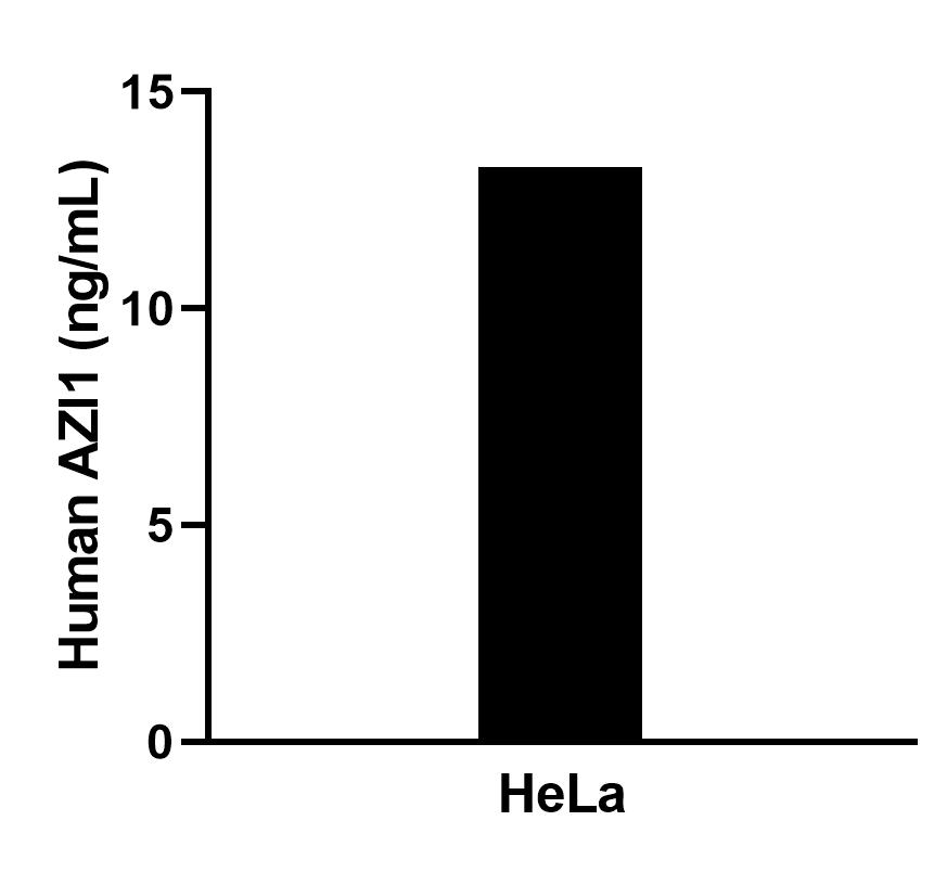 The mean AZI1 concentration was determined to be 13.4 ng/mL in Hela cell extract based on a 1.2 mg/mL extract load. The mean AZI1 concentration was determined to be 13.4 ng/mL in Hela cell extract based on a 1.2 mg/mL extract load.