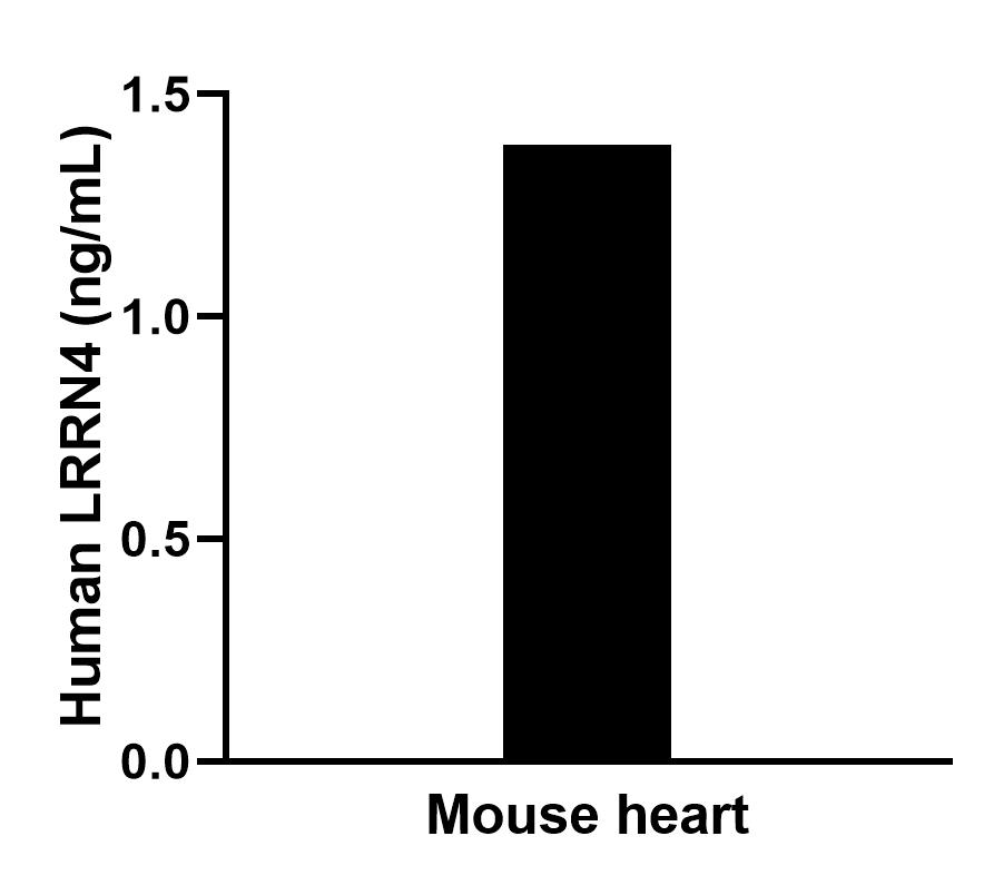 The mean LRRN4 concentration was determined to be 1.4 ng/mL in Mouse heart tissue extract based on a 7.1 mg/mL extract load.