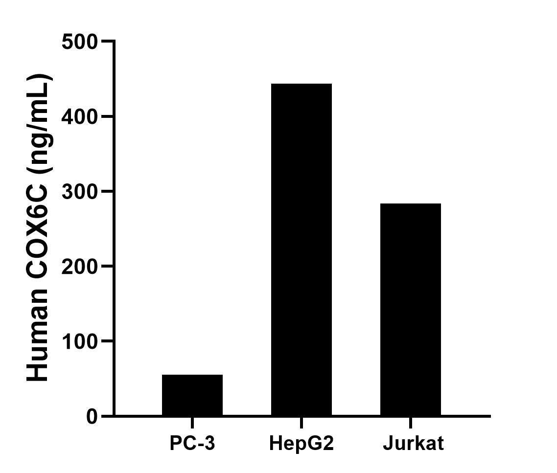 Cytometric bead array sample test of MP02689-1