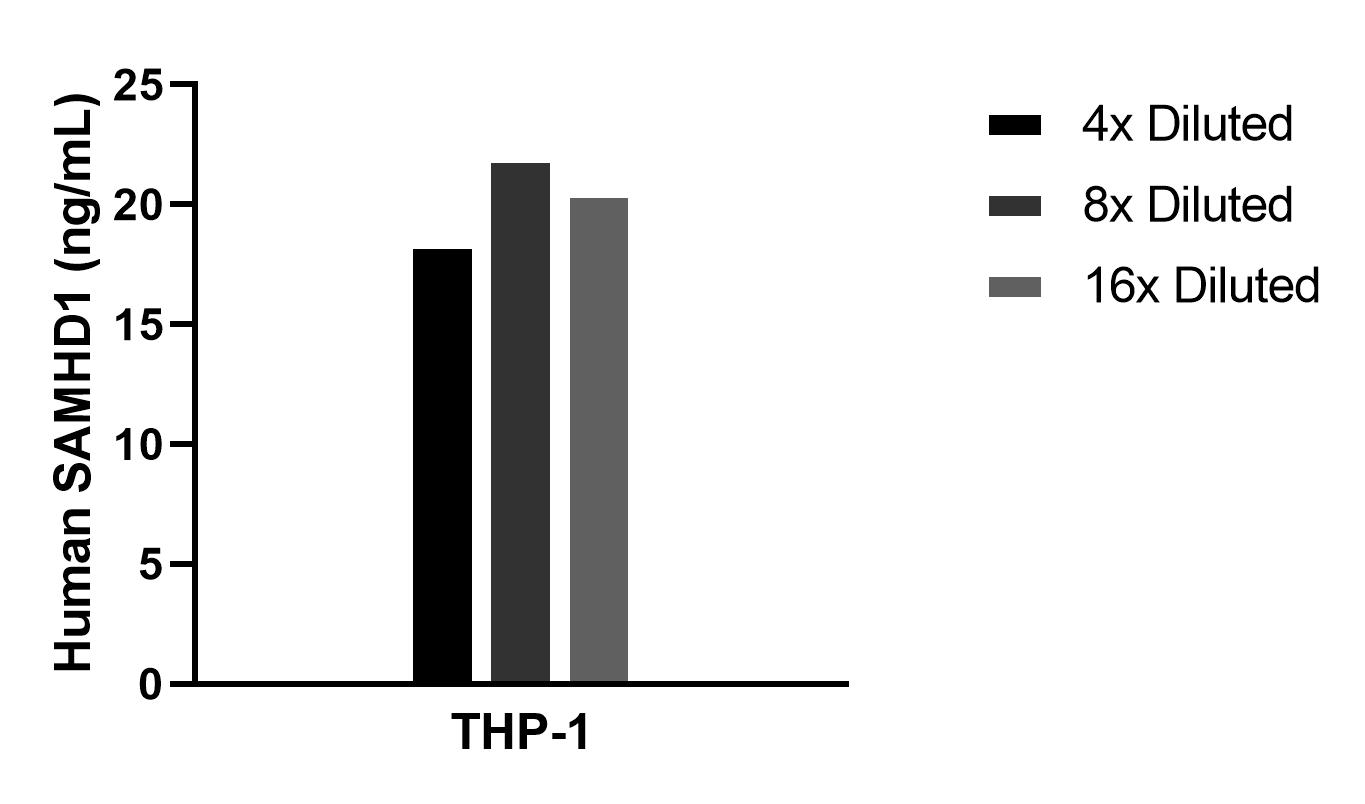 The mean SAMHD1 concentration was determined to be 20.3 ng/mL in THP-1 cell extract based on a 1.2 mg/mL extract load. Cytometric bead array sample test of MP02690-1