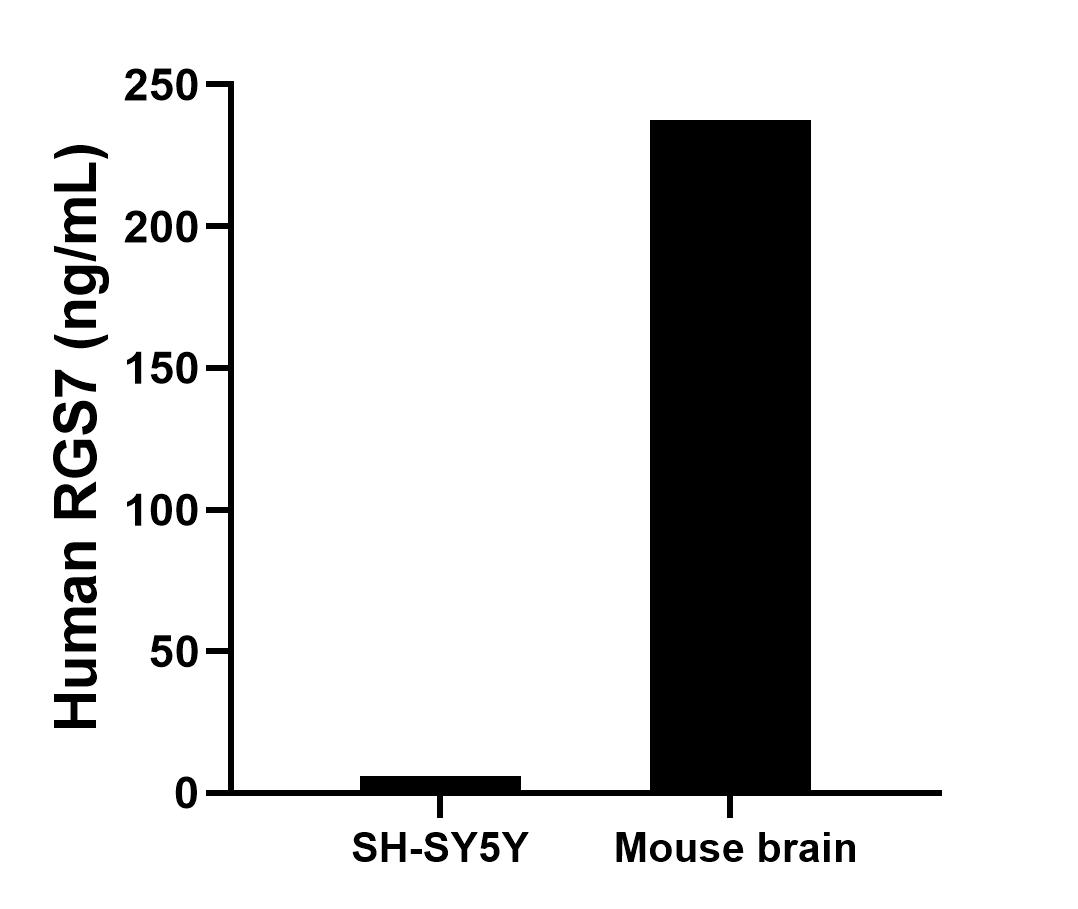 The mean RGS7 concentration was determined to be 5.9 ng/mL in SH-SY5Y cell extract based on a 1.2 mg/mL extract load, 237.6 ng/mL in Mouse brain tissue extract based on a 3.2 mg/mL extract load. Cytometric bead array sample test of MP02701-1