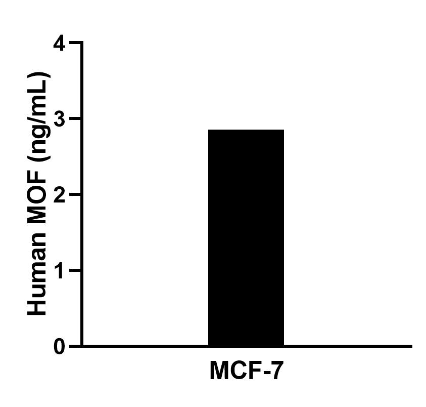 Cytometric bead array sample test of MP02763-1