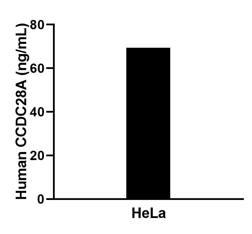 Cytometric bead array sample test of MP02764-1 Cytometric bead array sample test of MP02764-1