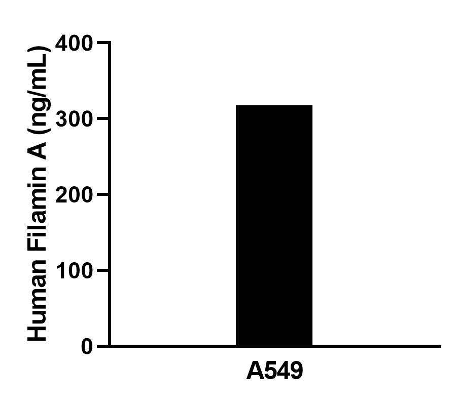 Cytometric bead array sample test of MP02793-1
