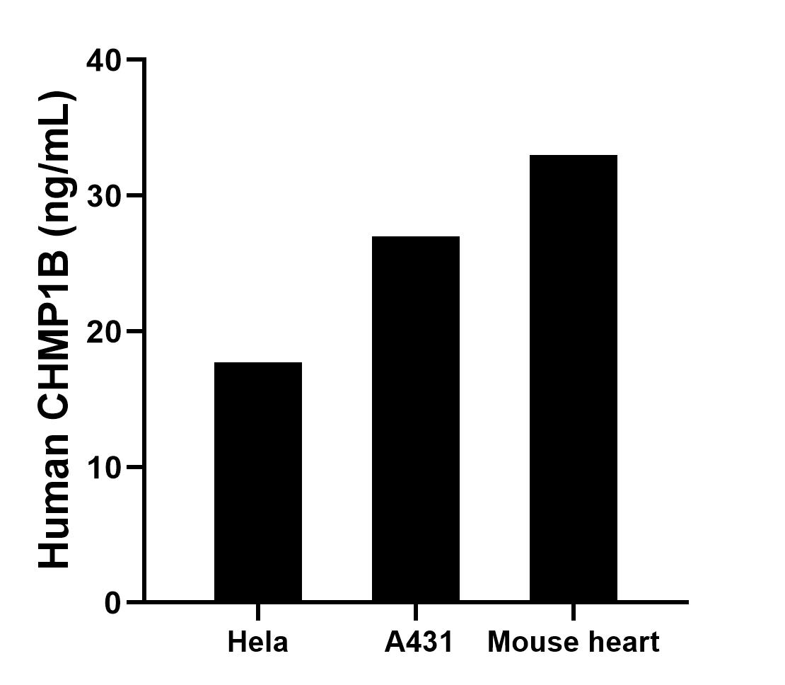 Cytometric bead array sample test of MP02825-1