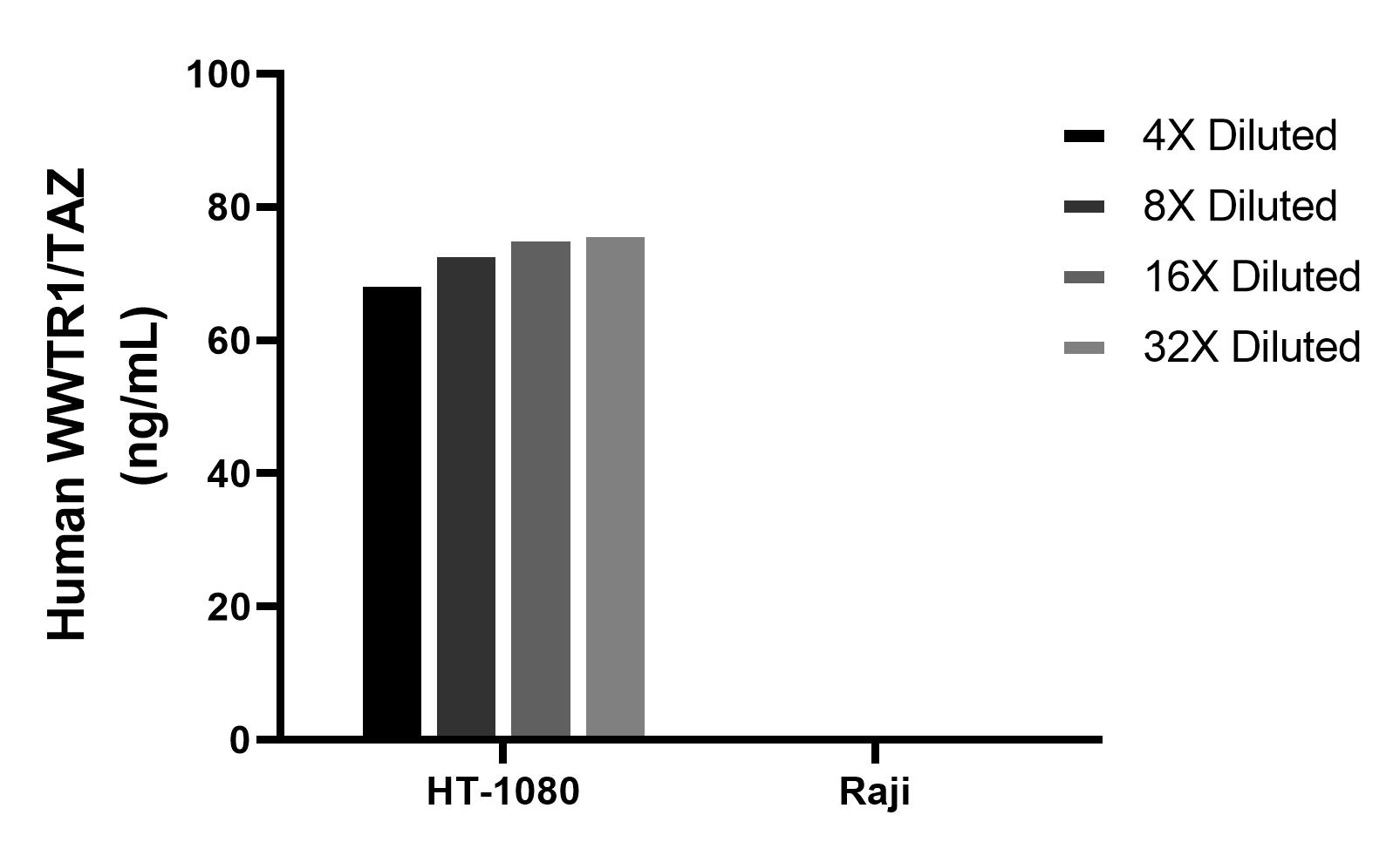 The mean WWTR1/TAZ concentration was determined to be 73.9 ng/mL in HT-1080 cell extract based on a 1.2 mg/mL extract load, Raji cell extract were served as a negative control.