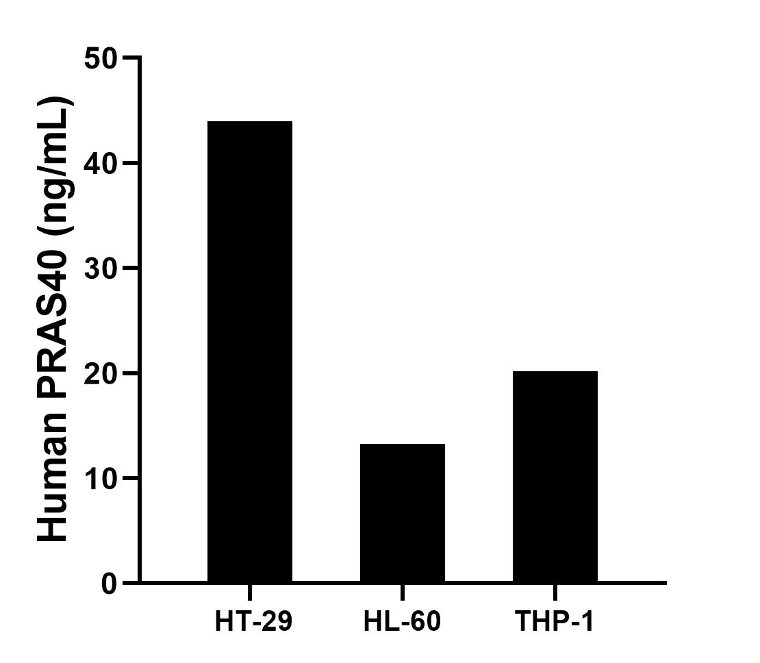The mean PRAS40 concentration was determined to be 44.0 ng/mL in HT-29 cell extract based on a 1.1 mg/mL extract load, 13.3 ng/mL in HL-60 cell extract based on a 1.4 mg/mL extract load, 20.2 ng/mL in THP-1 cell extract based on a 1.2 mg/mL extract load.