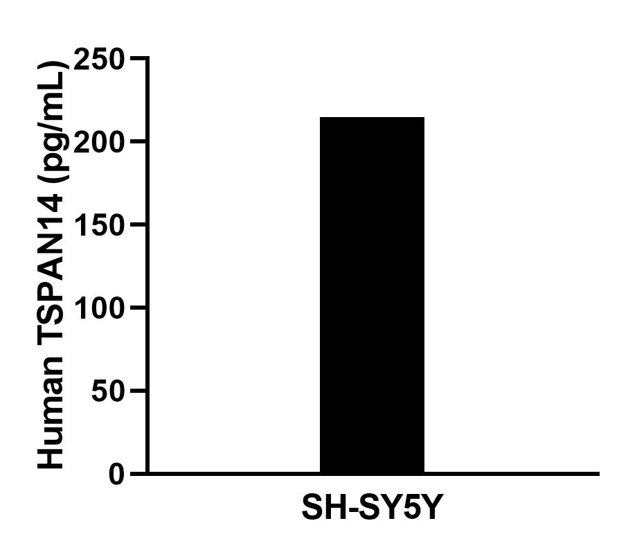 Cytometric bead array sample test of MP02883-1
