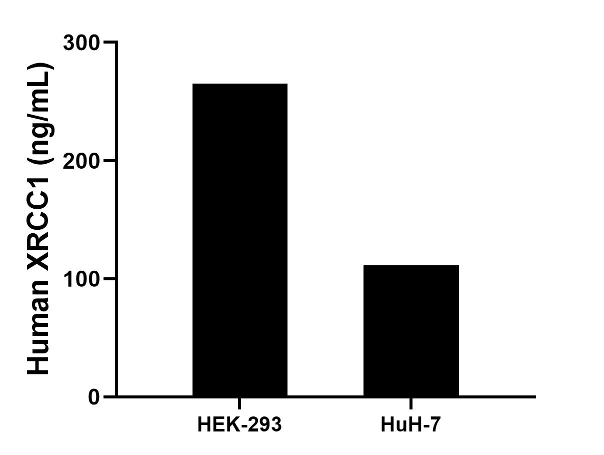 Cytometric bead array sample test of MP02931-1