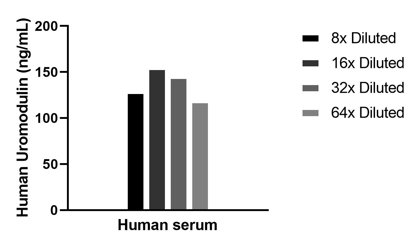 The mean Uromodulin concentration was determined to be 136.2 ng/mL in Human serum. Cytometric bead array sample test of MP02973-1
