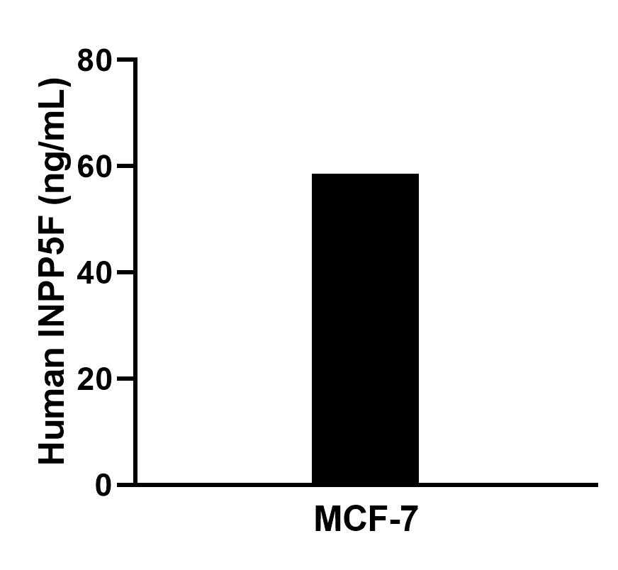 Cytometric bead array sample test of MP02978-1