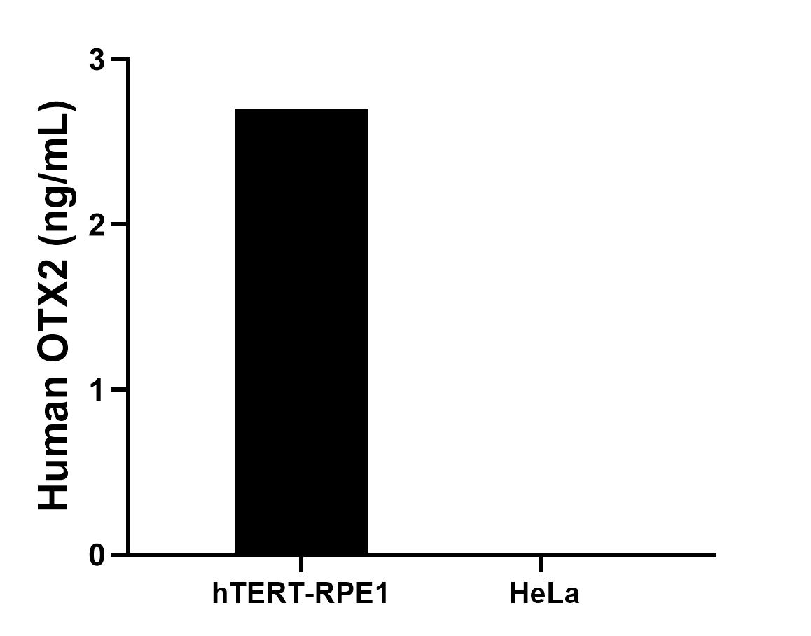 Cytometric bead array sample test of MP02987-1