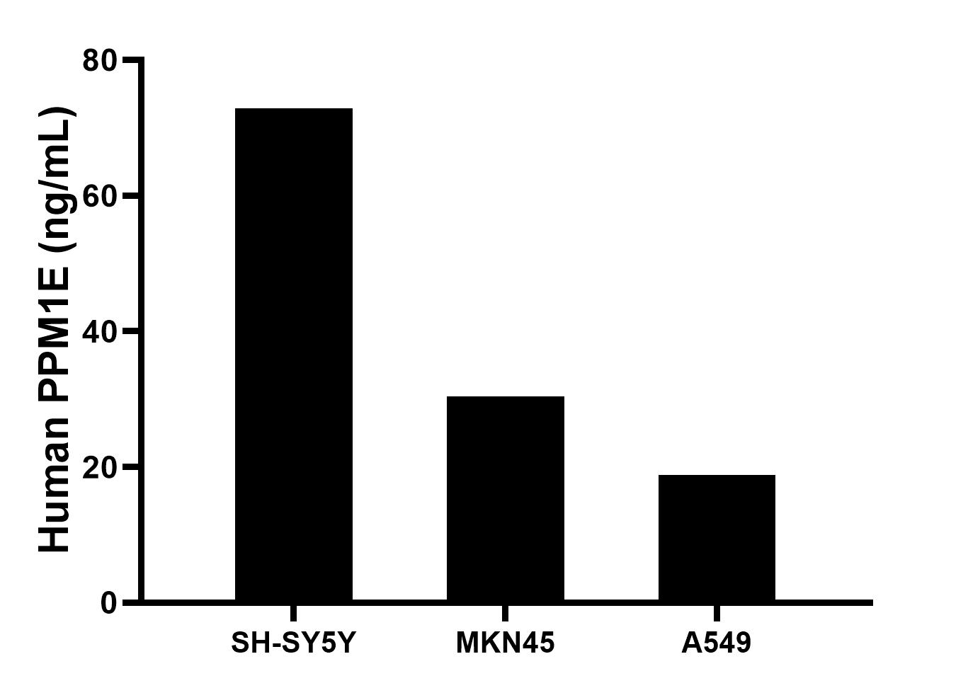 The mean PPM1E concentration was determined to be 72.9 ng/mL in SH-SY5Y cell extract based on a 1.2 mg/mL extract load, 30.4 ng/mL in MKN45 cell extract based on a 1.2 mg/mL extract load, 18.8 ng/mL in A549 cell extract based on a 1.2 mg/mL extract load.