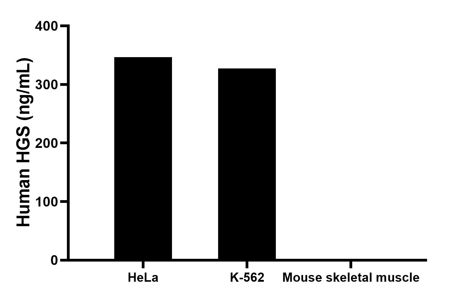 The mean HGS concentration was determined to be 346.5 ng/mL in HeLa cell extract based on a 1.2 mg/mL extract load, 327.2 ng/mL in K-562 cell extract based on a 1.2 mg/mL extract load,  mouse skeletal muscle tissue extract were served as a negative control.