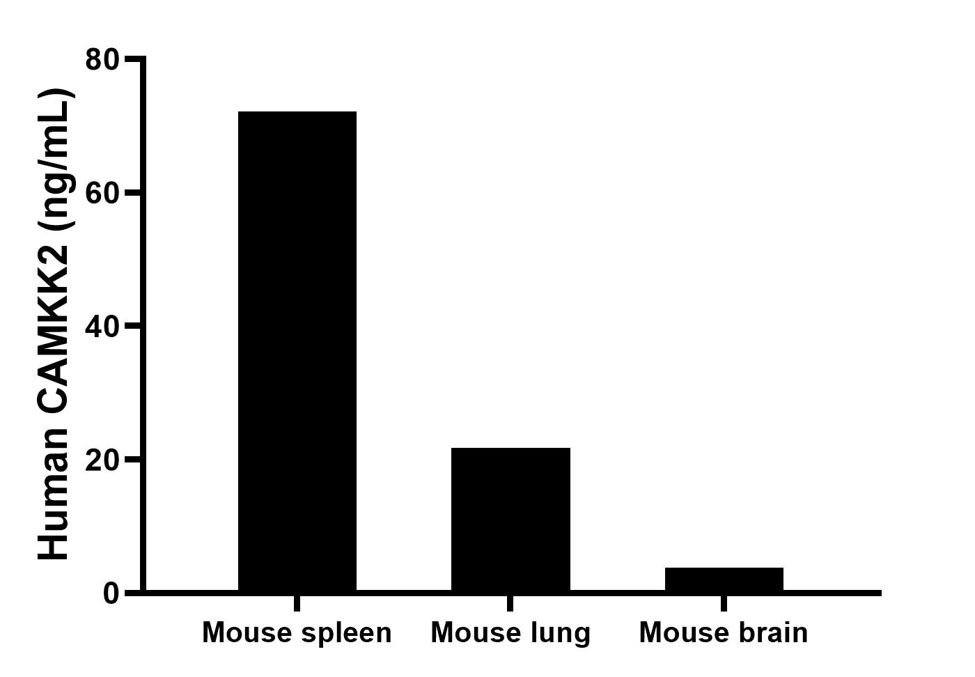 The mean CD11b concentration was determined to be 72.1 ng/mL in mouse spleen tissue extract based on a 6.4 mg/mL extract load, 21.7 ng/mL in mouse lung tissue extract based on a 5.0 mg/mL extract load, 3.8 ng/mL in mouse brain tissue extract based on a 3.2 mg/mL extract load. The mean CD11b concentration was determined to be 72.1 ng/mL in mouse spleen tissue extract based on a 6.4 mg/mL extract load, 21.7 ng/mL in mouse lung tissue extract based on a 5.0 mg/mL extract load, 3.8 ng/mL in mouse brain tissue extract based on a 3.2 mg/mL extract load.