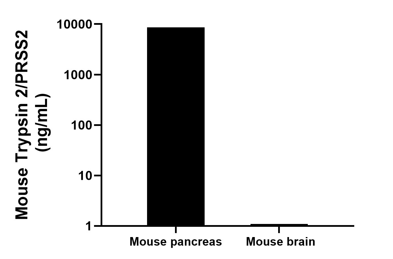 The mean Trypsin 2/PRSS2 concentration was determined to be 8581.8 ng/mL in Mouse pancreas tissue extract based on a 10.6 mg/mL extract load, 1.1 ng/mL in Mouse brain tissue extract based on a 3.2 mg/mL extract load. The mean Trypsin 2/PRSS2 concentration was determined to be 8581.8 ng/mL in Mouse pancreas tissue extract based on a 10.6 mg/mL extract load, 1.1 ng/mL in Mouse brain tissue extract based on a 3.2 mg/mL extract load.