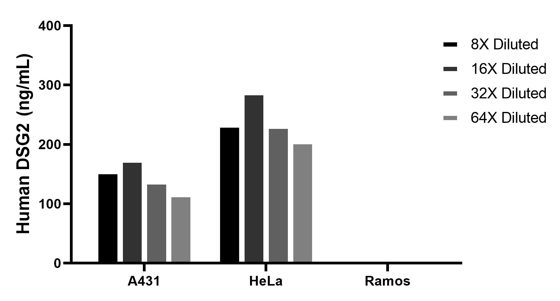 The mean DSG2 concentration was determined to be 145.1 ng/mL in A431 cell extract based on a 1.2 mg/mL extract load, 238.8 ng/mL in HeLa cell extract based on a 1.2 mg/mL extract load, Ramos cell extract were served as a negative control. The mean DSG2 concentration was determined to be 145.1 ng/mL in A431 cell extract based on a 1.2 mg/mL extract load, 238.8 ng/mL in HeLa cell extract based on a 1.2 mg/mL extract load, Ramos cell extract were served as a negative control.