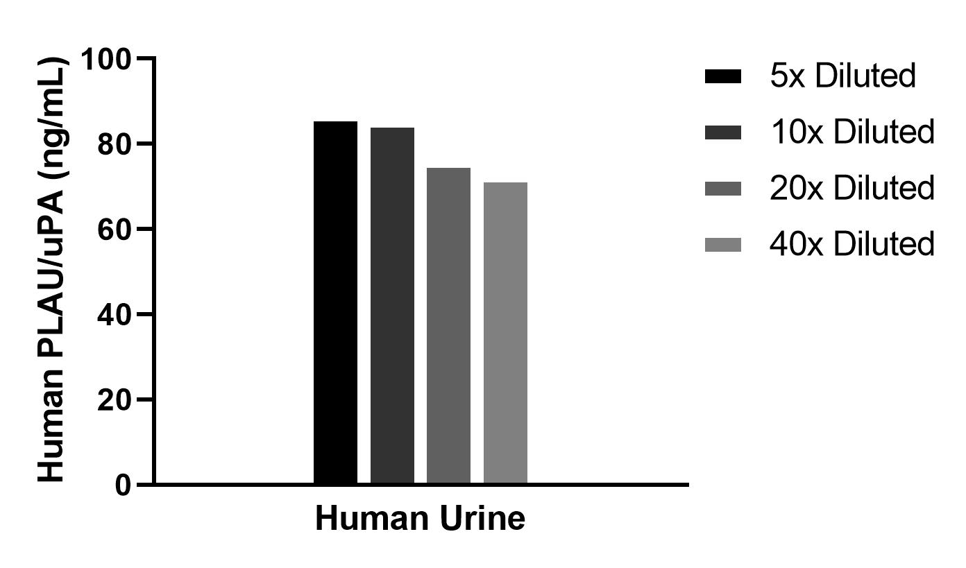 The mean uPA/Urokinase concentration was determined to be 79.6 ng/mL in human urine.