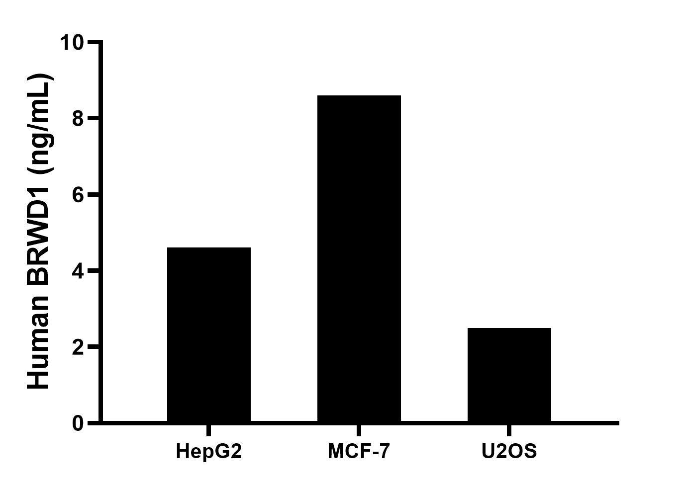 The mean BRWD1 concentration was determined to be 4.6 ng/mL in HepG2 cell extract based on a 1.2 mg/mL extract load, 8.6 ng/mL in MCF-7 cell extract based on a 1.2 mg/mL extract load, 2.5 ng/mL in U2OS cell extract based on a 1.2 mg/mL extract load. The mean BRWD1 concentration was determined to be 4.6 ng/mL in HepG2 cell extract based on a 1.2 mg/mL extract load, 8.6 ng/mL in MCF-7 cell extract based on a 1.2 mg/mL extract load, 2.5 ng/mL in U2OS cell extract based on a 1.2 mg/mL extract load.