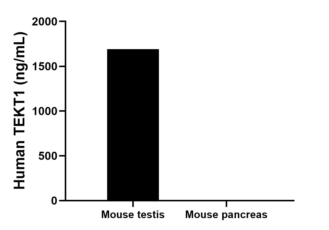 Cytometric bead array sample test of MP03082-1