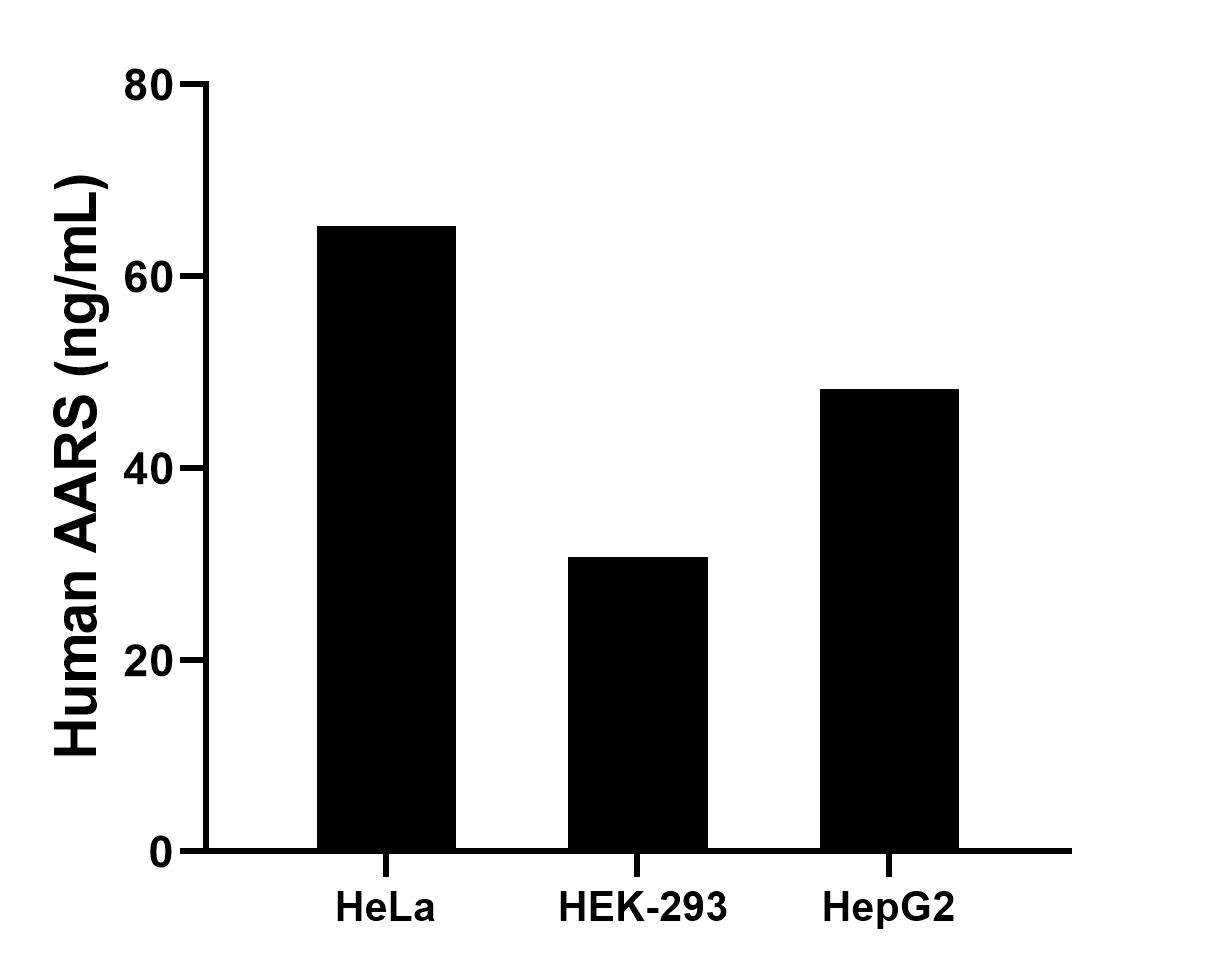 Cytometric bead array sample test of MP03098-1