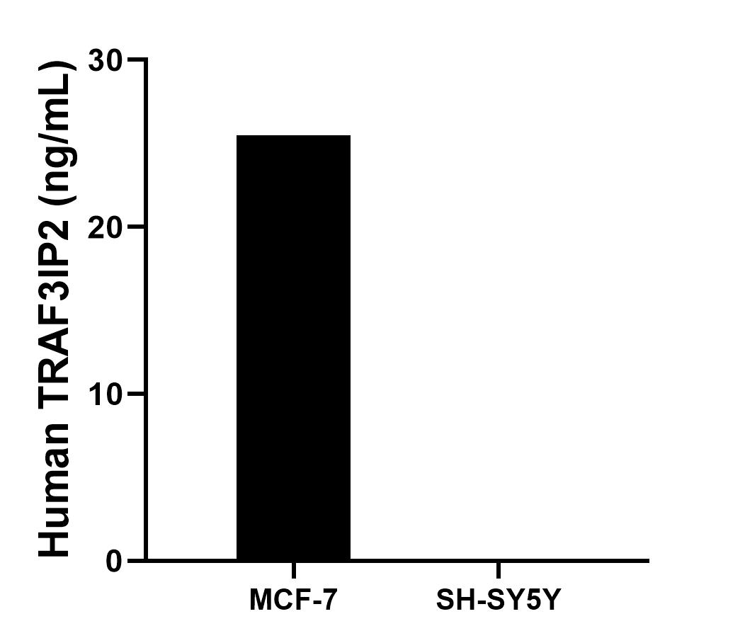 Cytometric bead array sample test of MP03101-1