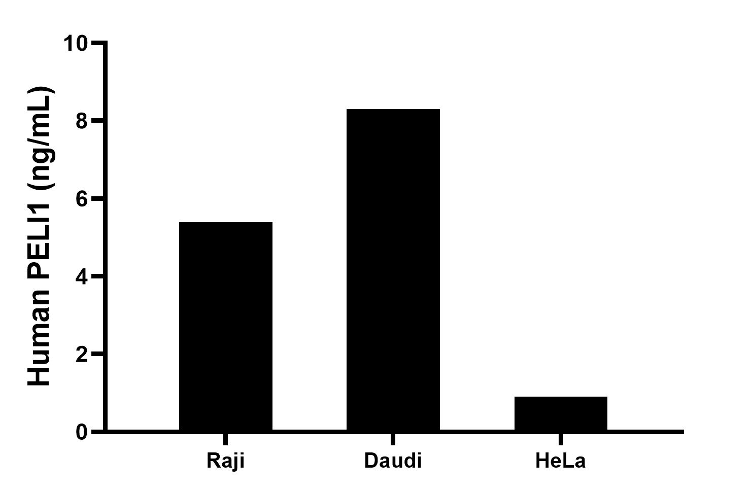The mean PELI1 concentration was determined to be 5.4 ng/mL in Raji cell extract based on a 1.2 mg/mL extract load, 8.3 ng/mL in Daudi cell extract based on a 1.2 mg/mL extract load, 0.9 ng/mL in HeLa cell extract based on a 1.2 mg/mL extract load. Cytometric bead array sample test of MP03109-1
