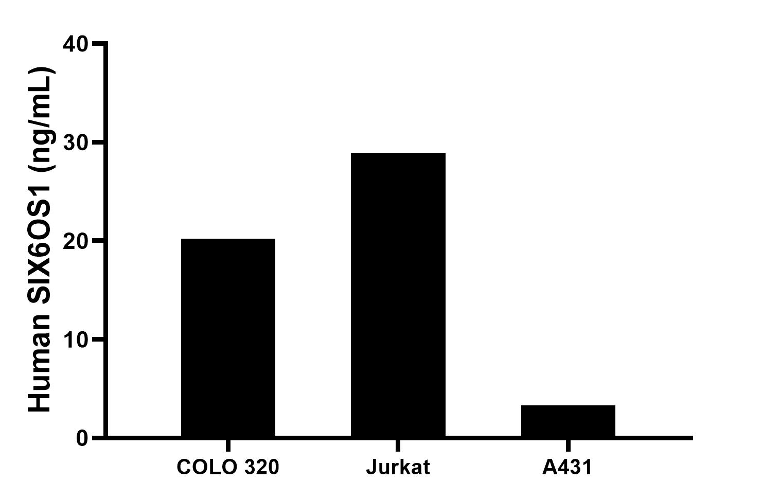 The mean SIX6OS1 concentration was determined to be 20.2 ng/mL in COLO 320 cell extract based on a 1.2 mg/mL extract load, 28.9 ng/mL in Jurkat cell extract based on a 1.2 mg/mL extract load, 3.3 ng/mL in A431 cell extract based on a 1.2 mg/mL extract load.